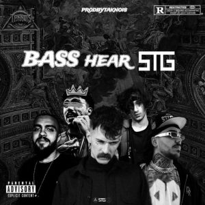 دانلود ریمیکس bass hear stg از تک نویز